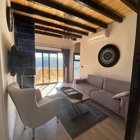 Sapanca Felix *