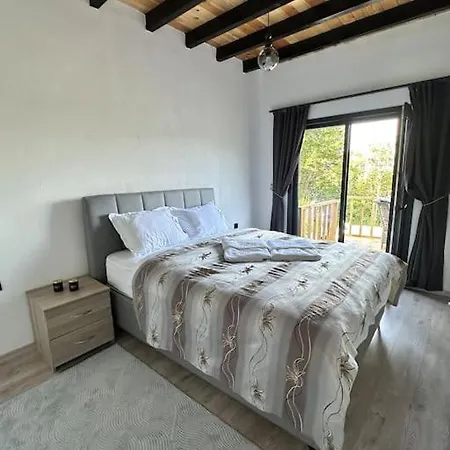 Sapanca Felix * ساكاريا