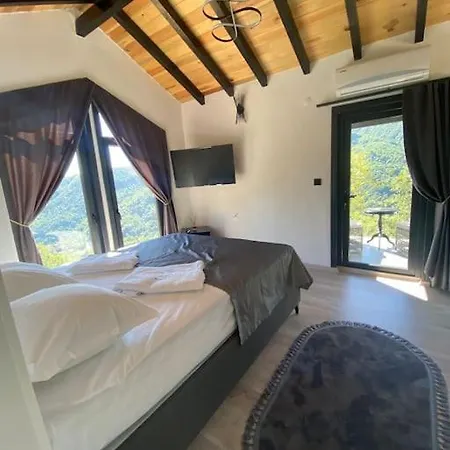 Sapanca Felix *