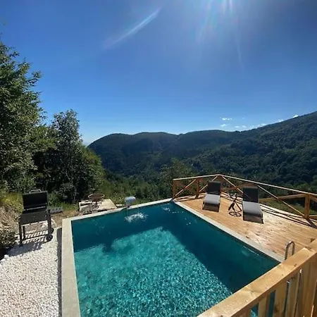 Sapanca Felix